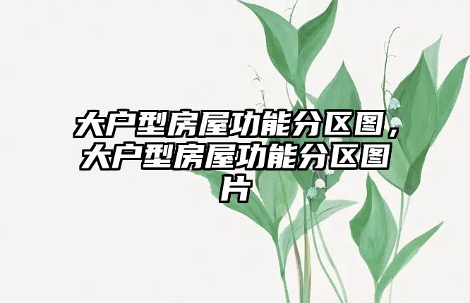 大戶型房屋功能分區圖，大戶型房屋功能分區圖片